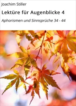 Lekt?re f?r Augenblicke 4