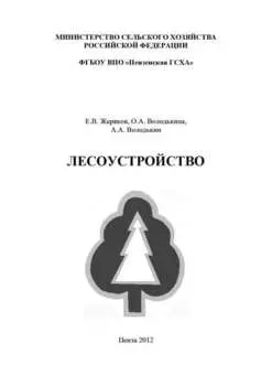 Лесоустройство