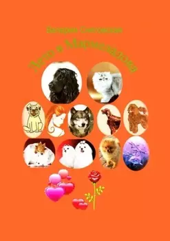 Лето в Мармеладова