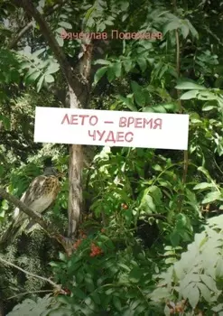 Лето – время чудес