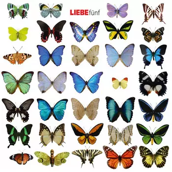 Liebe f?nf