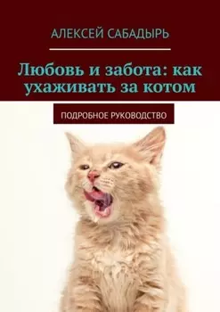 Любовь и забота: как ухаживать за котом. Подробное руководство