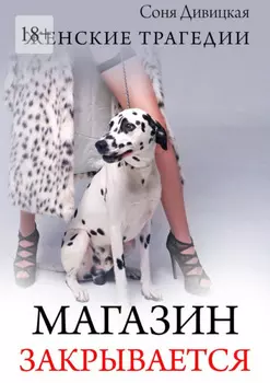 Магазин закрывается. Роман
