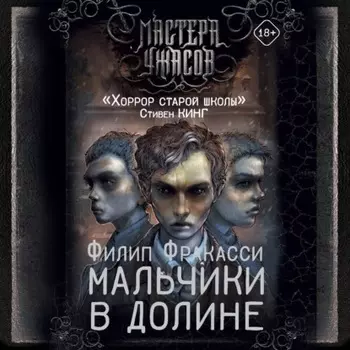 Мальчики в долине