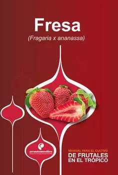 Manual para el cultivo de frutales en el tr?pico. Fresa