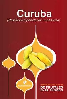 Manual para el cultivo de frutales en el tr?pico. Curuba