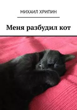 Меня разбудил кот