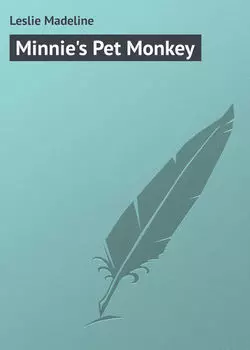Minnie's Pet Monkey