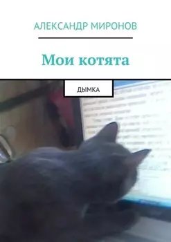Мои котята. Дымка