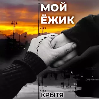 Мой ёжик