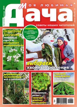 Моя любимая дача №01/2019