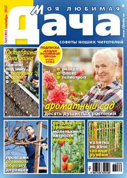 Моя любимая дача №09/2017