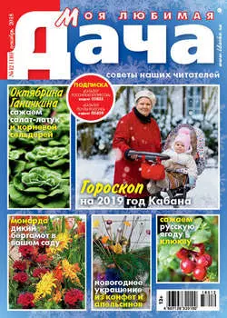 Моя любимая дача №12/2018
