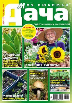 Моя любимая дача №9/2018