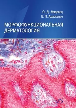 Морфофункциональная дерматология