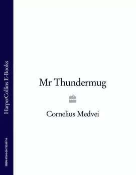 Mr Thundermug