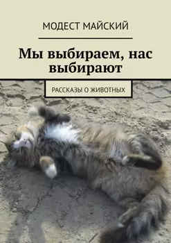 Твои любимые пушистики. Рассказы о меньших братьях