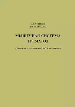 Мышечная система трематод (строение и возможные пути эволюции)