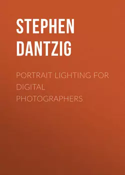 N&K Die Detektive, Folge 2: Warum schweigt der Schatzsucher?