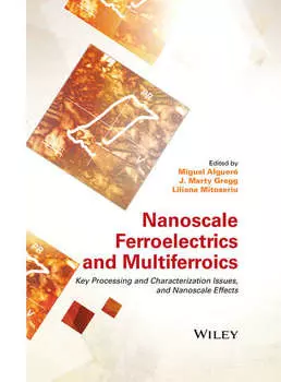 Nanoscale Ferroelectrics and Multiferroics