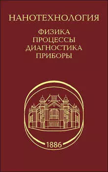 Нанотехнология. Физика, процессы, диагностика, приборы