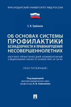 Научно-практический комментарий к Федеральному закону «Об основах системы профилактики безнадзорности и правонарушений несовершеннолетних» (постатейный)