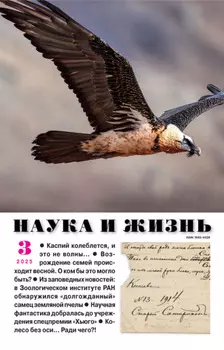 Наука и жизнь №03/2025