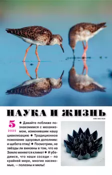 Наука и жизнь №05/2025
