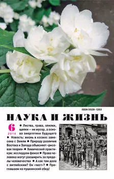 Наука и жизнь №06/2014