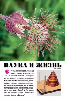 Наука и жизнь №06/2024