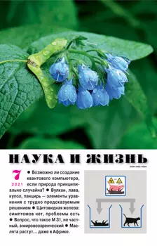 Наука и жизнь №07/2021