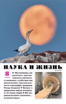 Наука и жизнь №08/2020