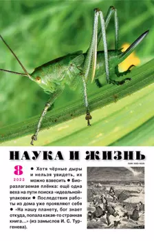 Наука и жизнь №08/2023