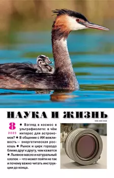 Наука и жизнь №08/2025