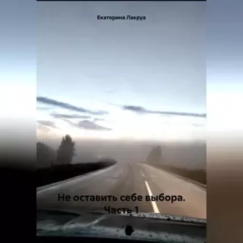 Не оставить себе выбора. Часть 1