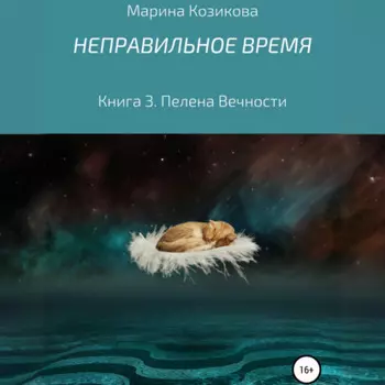 Неправильное время. Книга 3. Пелена вечности