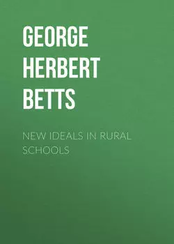 New Ideals in Rural Schools