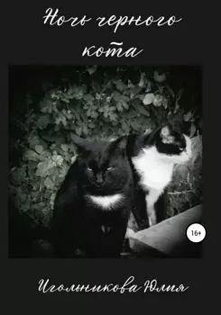 Ночь черного кота