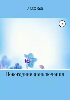 Новогодние приключения