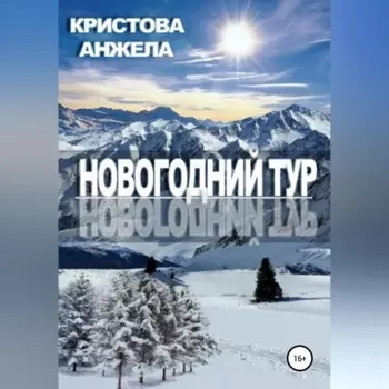 Новогодний тур
