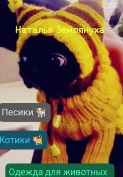 Одежда для животных