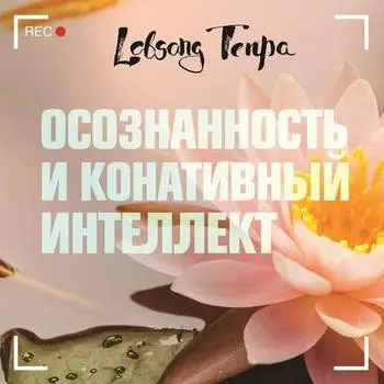 Осознанность и конативныи интеллект