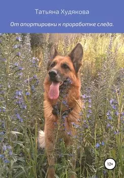 От апортировки к проработке следа