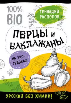 Перцы и баклажаны на экогрядках. Урожай без химии