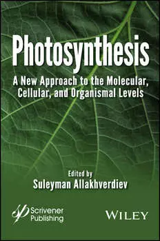 Photosynthesis