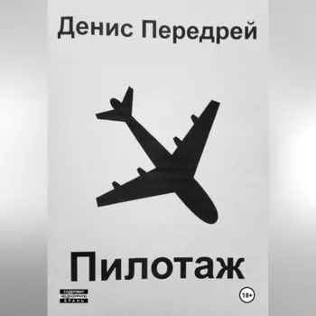 Пилотаж