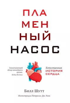 Пламенный насос. Естественная история сердца