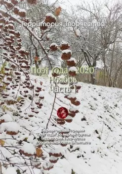 Поэт года – 2020. Ноябрь. Часть 1. Первая онлайн-премия «Поэт года» по версии группы «Территория Творчества» в социальной сети ВКонтакте