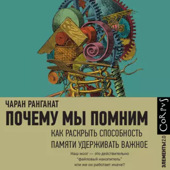 Почему мы помним. Как раскрыть способность памяти удерживать важное