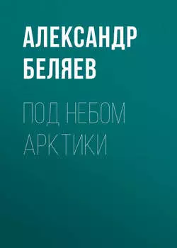 Под небом Арктики